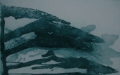 Aqua I