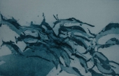 Aqua
                II